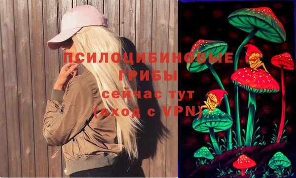 ECSTASY Алексин