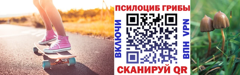 blacksprut зеркало  Апшеронск  Галлюциногенные грибы Psilocybine cubensis 